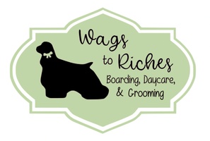 Wags To Riches